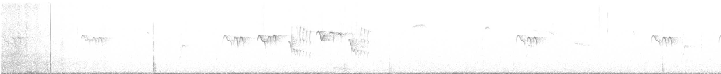 Cincia dal ciuffo - ML646100525