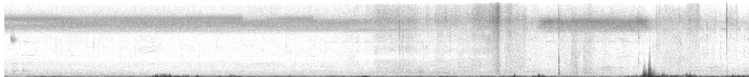 Pittima reale - ML646100623