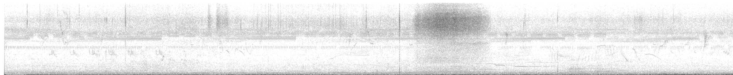 Pettegola - ML646100665