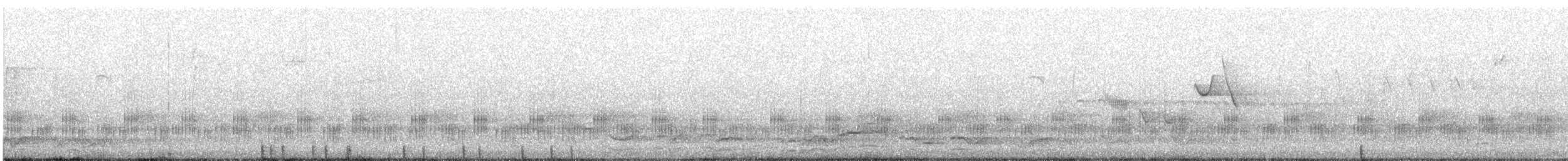 Frogs and Toads - ML646100779