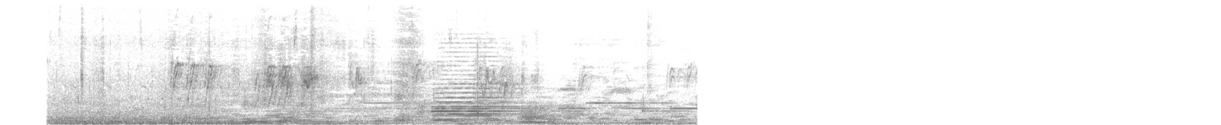 White-browed Wagtail - ML646100782