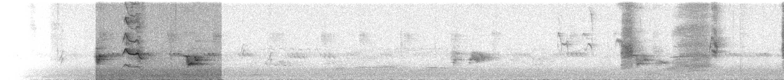 Shikra - ML646100808