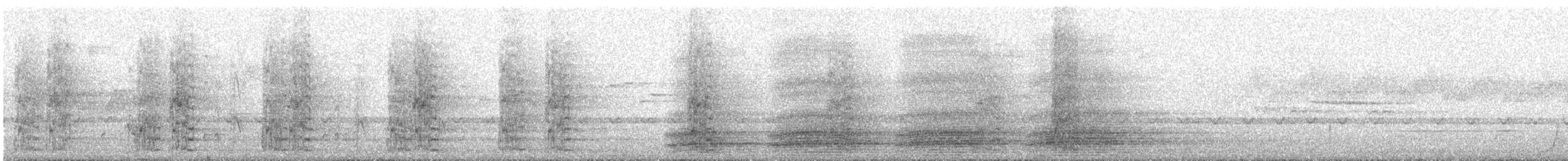 Forest Raven - ML646100811