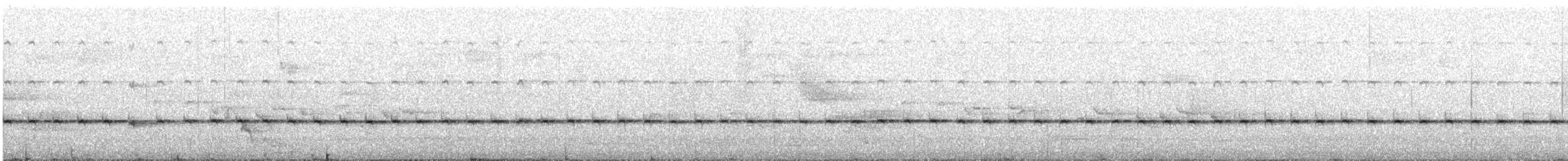 White-throated Treecreeper - ML646100821