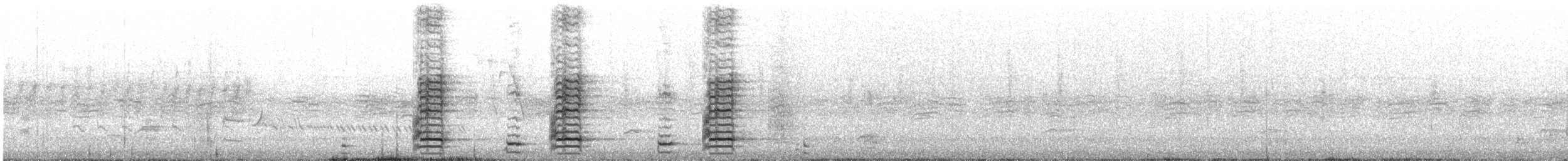 Little Wattlebird - ML646100951