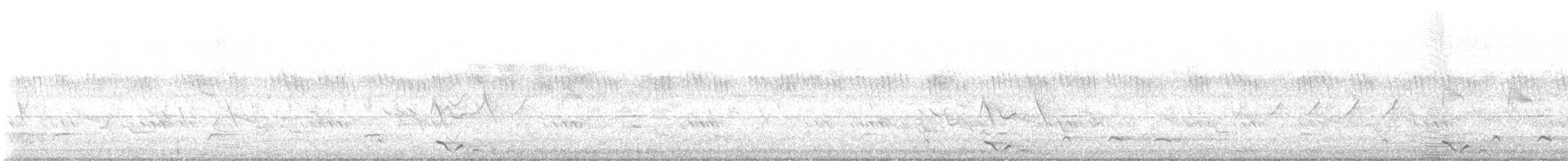 African Black-headed Oriole - ML646100961