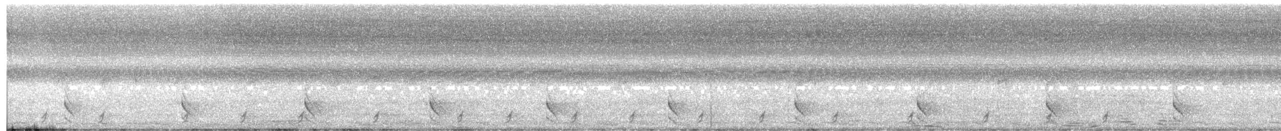 Barred Forest-Falcon - ML646101770