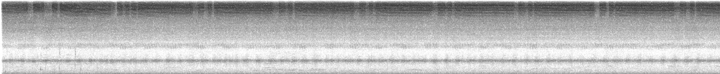 Black Bittern - ML646102544