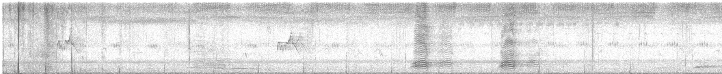 Plumed Whistling-Duck - ML646102564