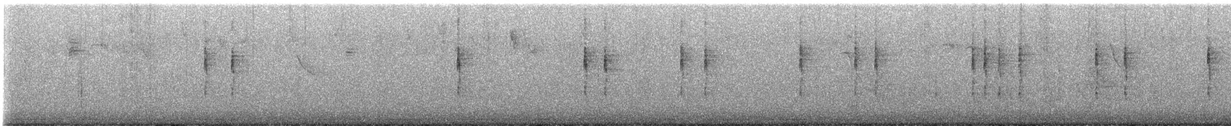 Troglodyte mignon - ML646102686