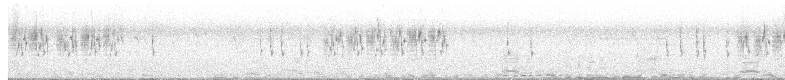 Delicate Prinia - ML646104277