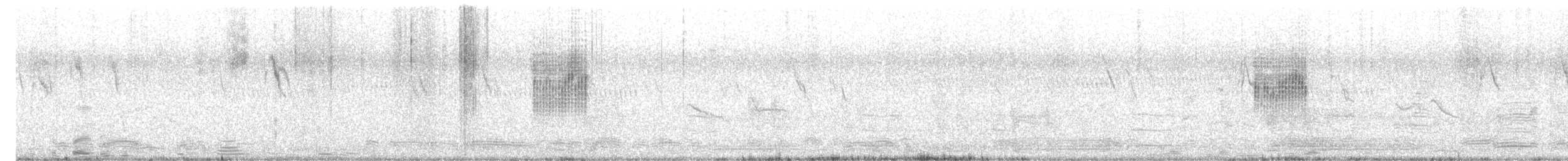 Delicate Prinia - ML646104278