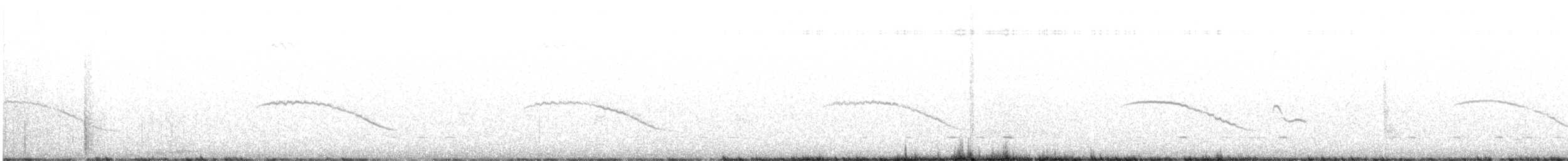 Horsfield's Bronze-Cuckoo - ML646104750