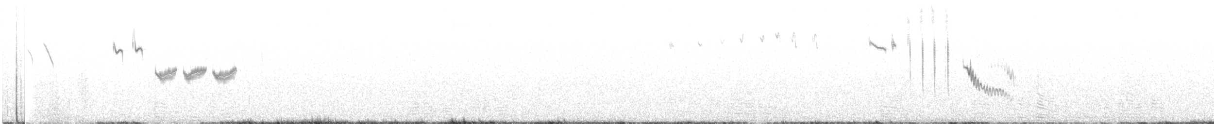 Sandhill Grasswren - ML646104762