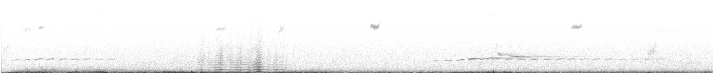 Dusky Grasswren - ML646104864