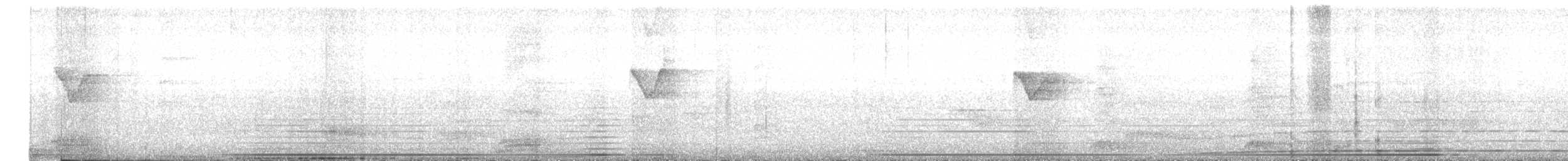 キマユムシクイ - ML646105570