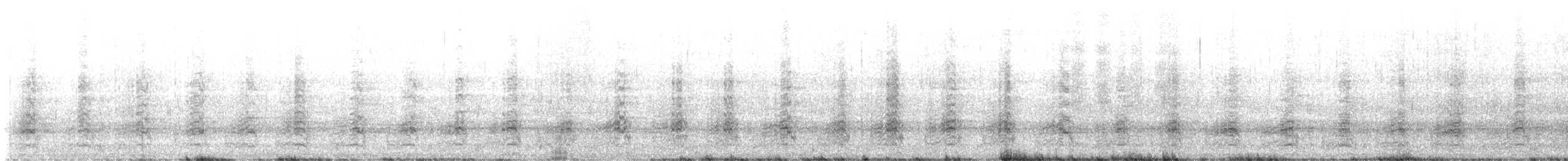 Belatz handia (macropus) - ML646105589