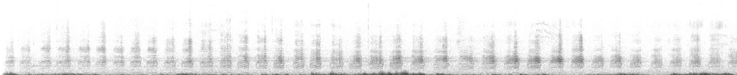 Belatz handia (macropus) - ML646105590