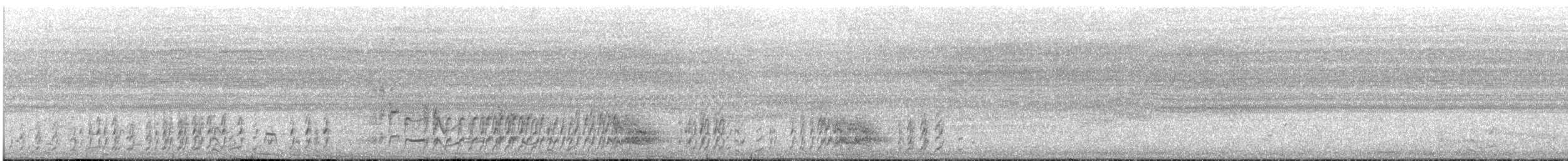 svartrikse - ML646106173