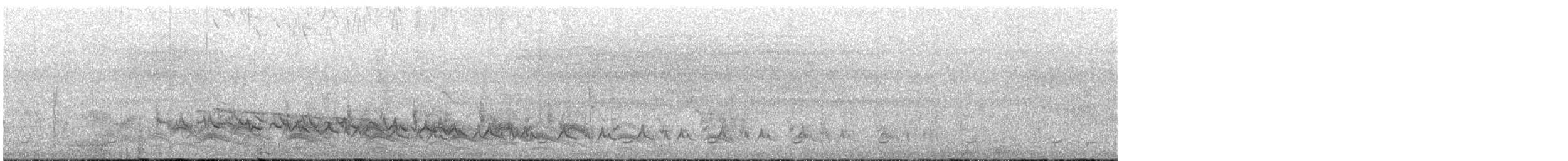 Dorntschagra - ML646106255