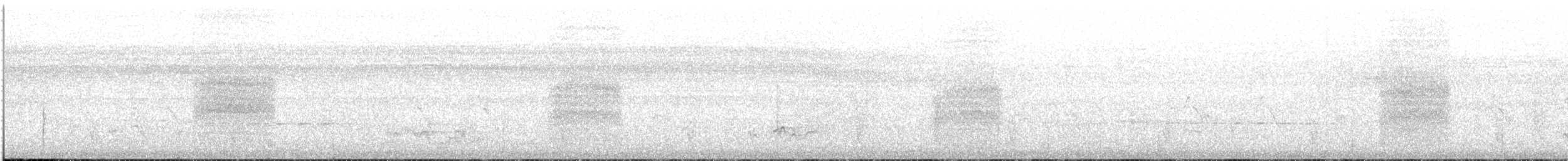 Dorntschagra - ML646106256