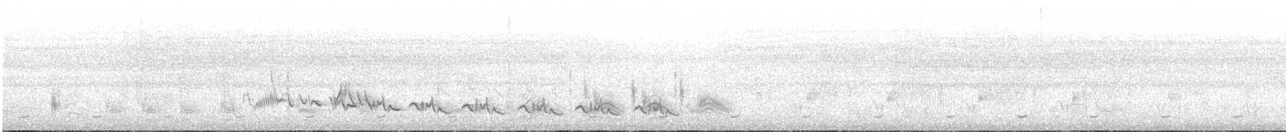 Dorntschagra - ML646106257