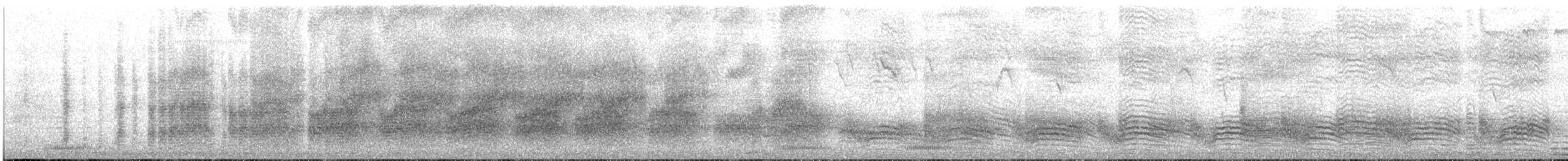 Weißstrichel-Drosselhäherling - ML646106331