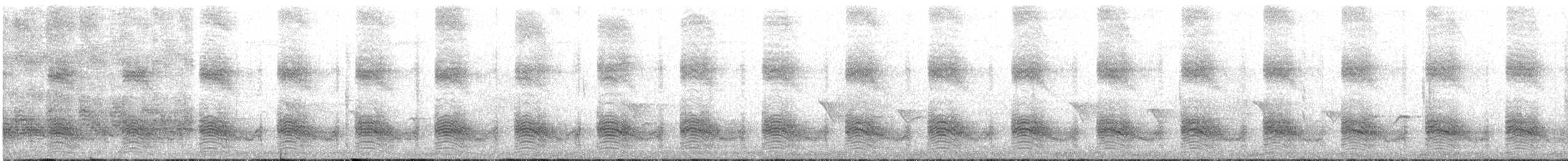 Weißstrichel-Drosselhäherling - ML646106332