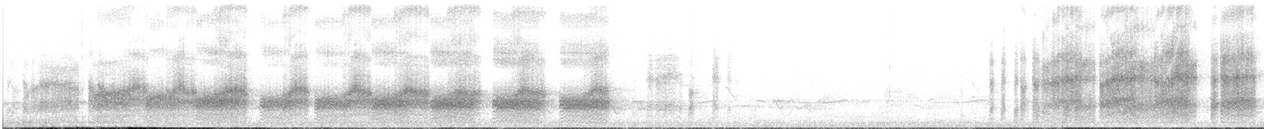 Weißstrichel-Drosselhäherling - ML646106333