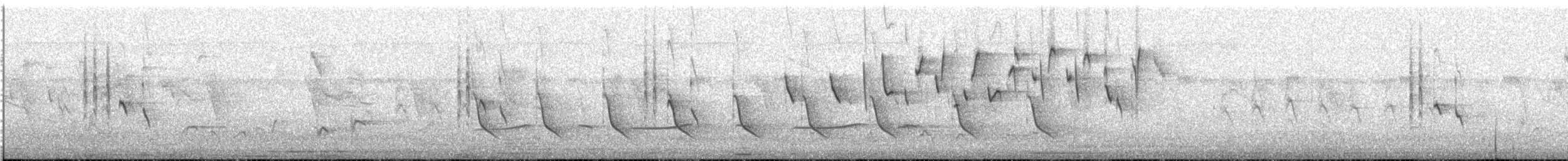 Zweiband-Nektarvogel - ML646106348