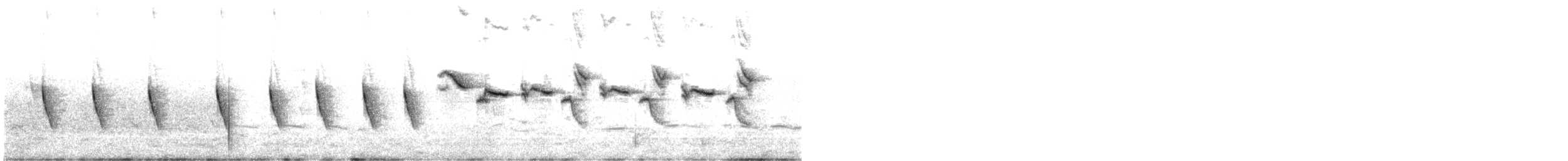 Malachitnektarvogel - ML646106508