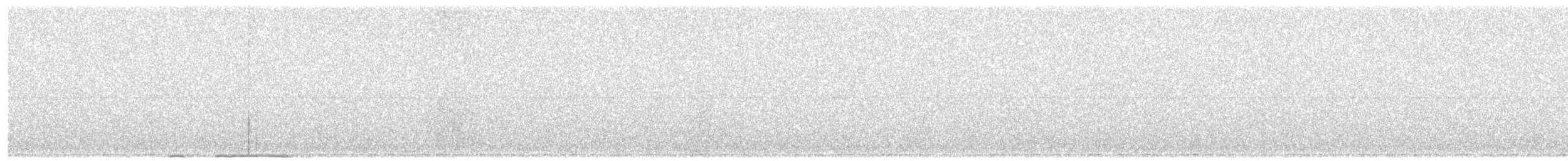 bendelugle (indranee gr.) - ML646107248