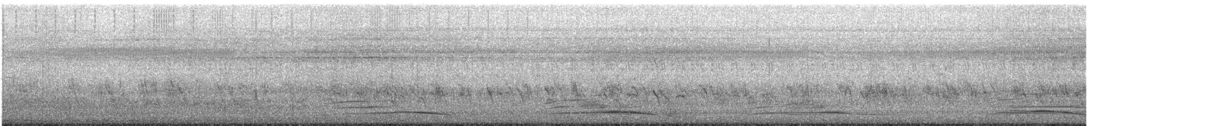 Pavo Real Común - ML646107722