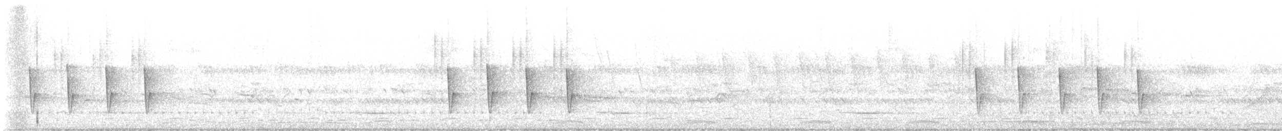 villnissanger (brevicaudata gr.) (gråryggsanger) - ML646107779