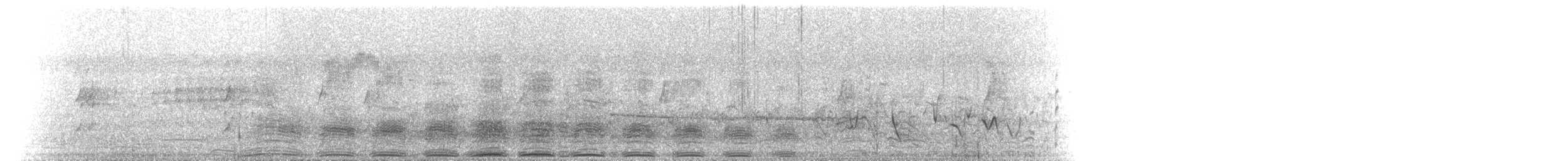 Pacific Black Duck - ML646108005