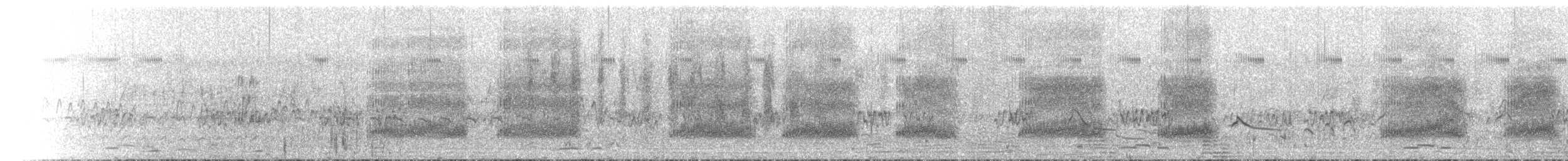 Magpie-lark - ML646108012