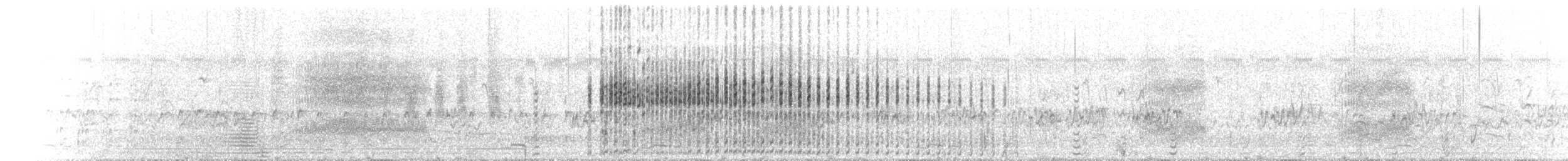 Australasian Grebe - ML646108020