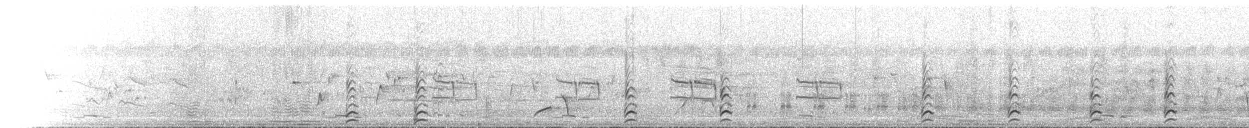 Pied Stilt - ML646108029