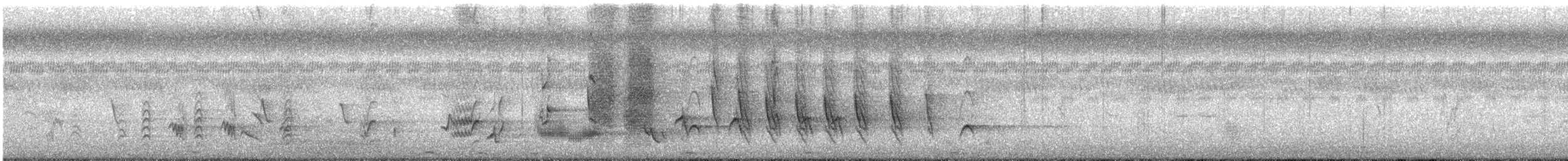 Bronzed Drongo - ML646108065