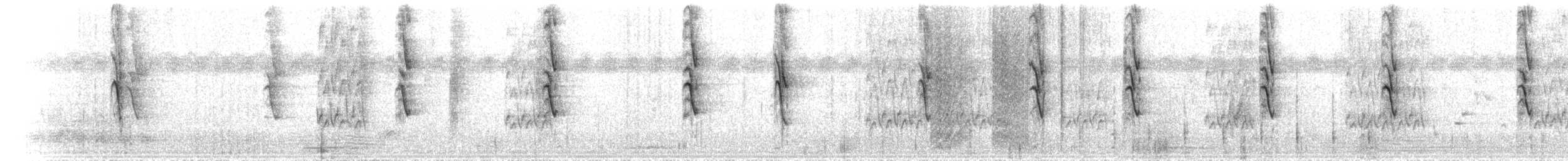 White-plumed Honeyeater - ML646108102