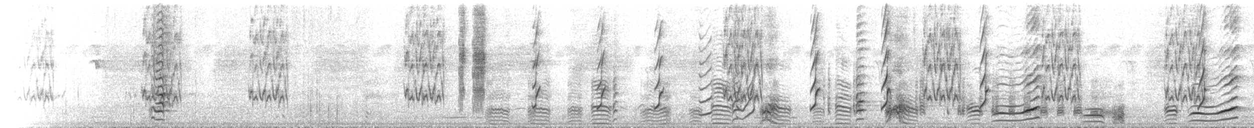 Silver-crowned Friarbird - ML646108111