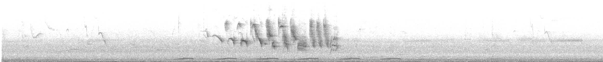 Double-collared Seedeater - ML646108443