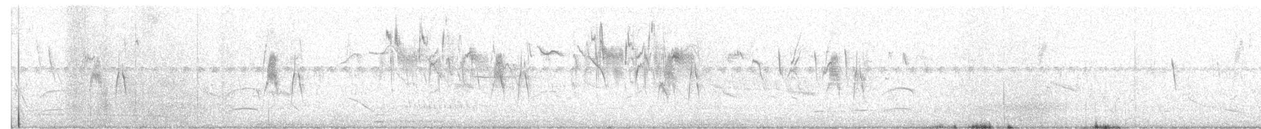 Dull-colored Grassquit - ML646108633