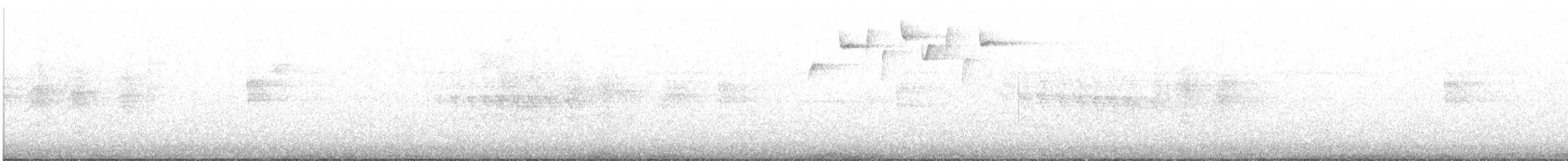 kortstjertvireo - ML646108864