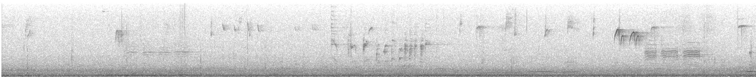 Marsh Wren - ML646109236