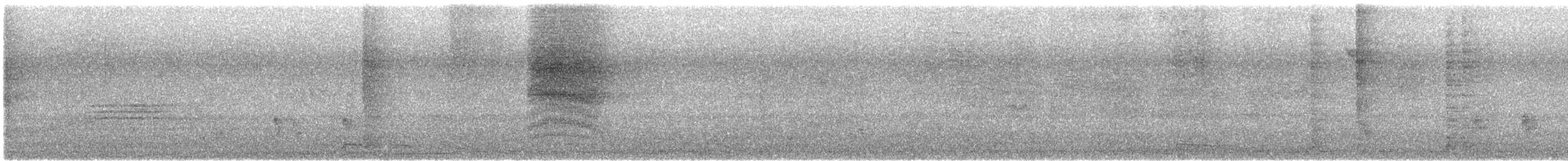 Black-naped Oriole - ML646109384