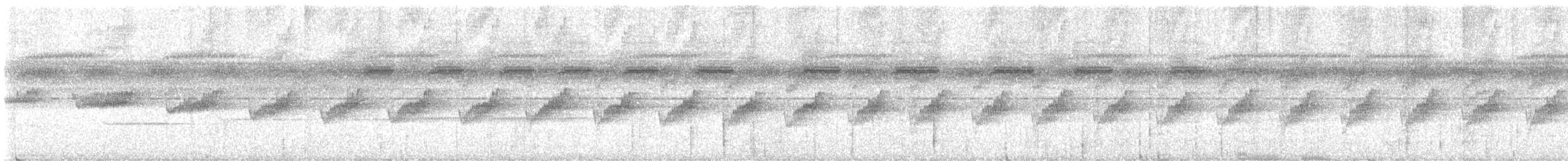 Gri Karınlı Karıncaçıvgını - ML646109730