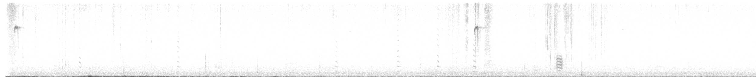 Beyaz Göğüslü Sıvacı - ML646109926