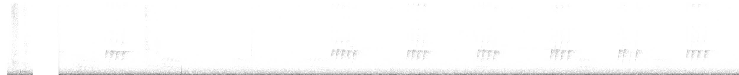 White-bellied Antbird - ML646110417