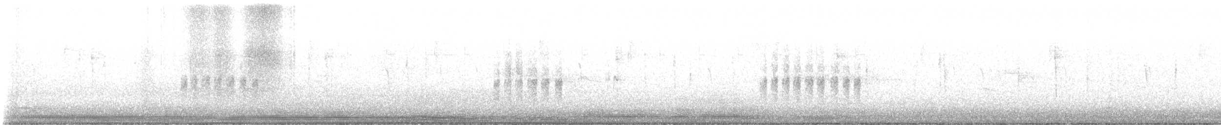 Weißbauch-Phoebetyrann - ML646110491